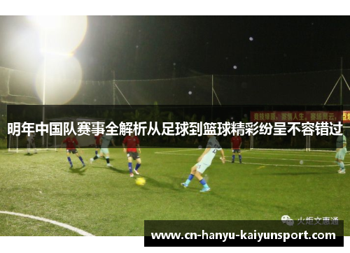 明年中国队赛事全解析从足球到篮球精彩纷呈不容错过