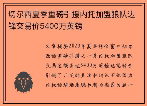 切尔西夏季重磅引援内托加盟狼队边锋交易价5400万英镑